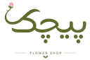 پیچک
